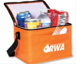 Cooler Bag