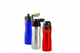 Stainless Steel Bottles